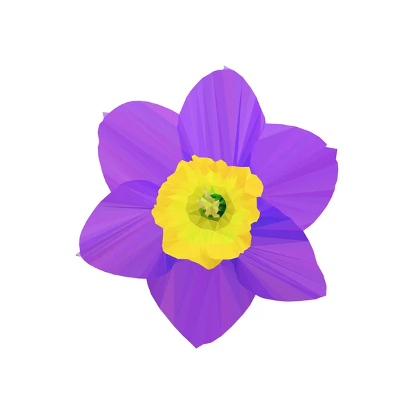 Polygonální Narcis Efektní Barva Fiktivní Květ Polygonální Květ Izolovaná Vektorová — Stockový vektor