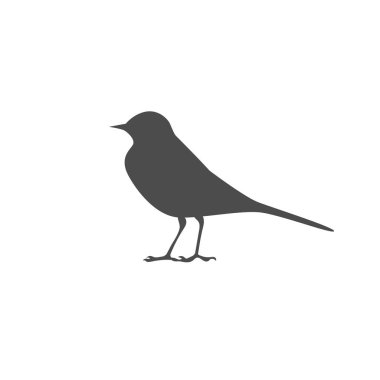 Wagtail ikonu. Küçük kuş. Vektör illüstrasyonu