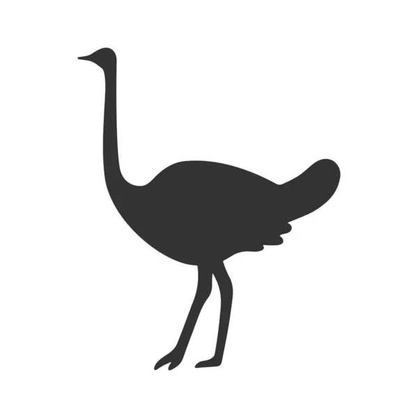 Ostrich Coming Flat Icon Vector Illustration — 스톡 벡터