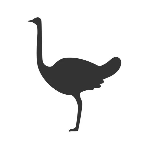 Στρουθοκάμηλος Στέκεται Στο Ένα Πόδι Επίπεδη Εικόνα Εικονογράφηση Διανύσματος — Διανυσματικό Αρχείο