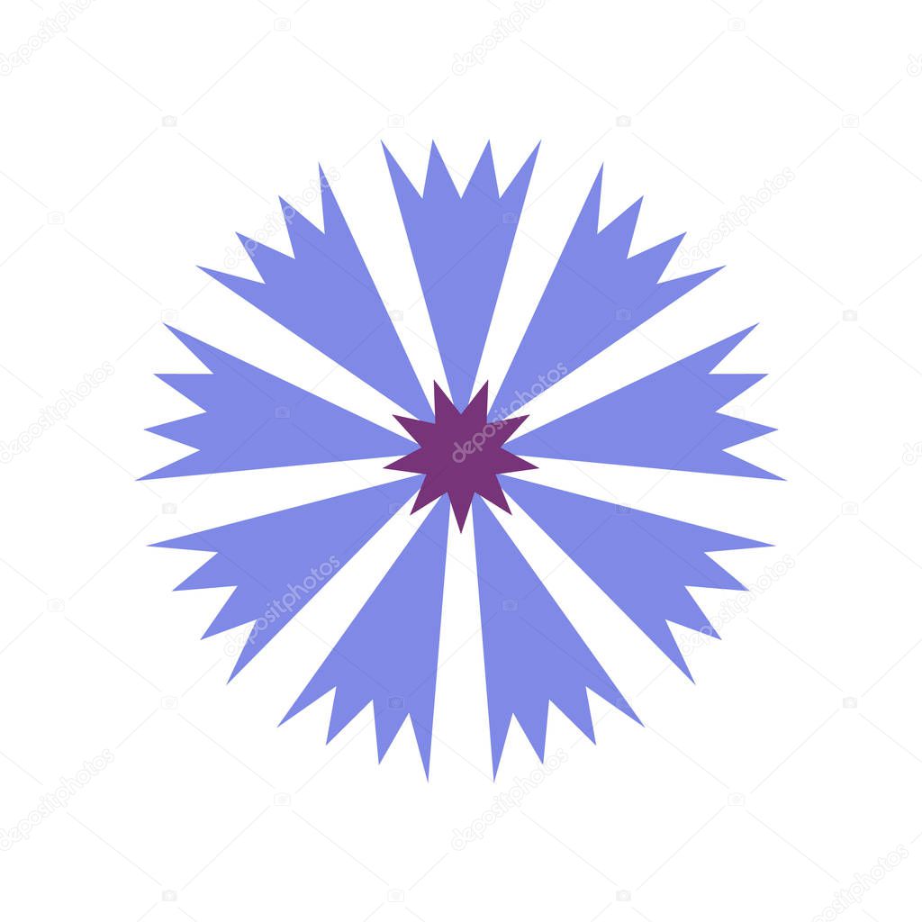 Blue cornflower (Centaurea cyanus), flower, isolated vector illustration.