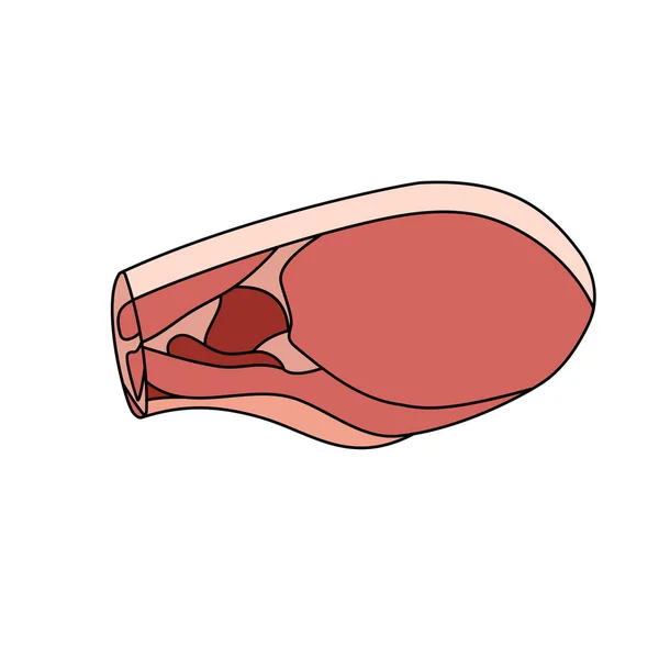 Fläskstek Bit Rått Kött Vektorillustration — Stock vektor