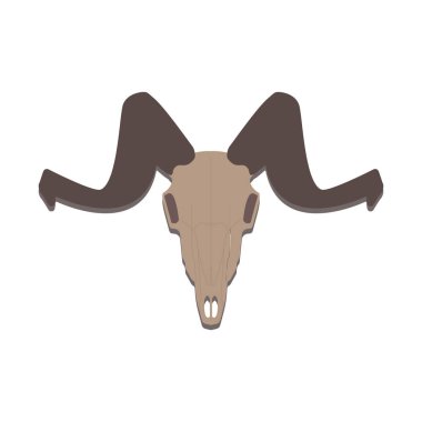 Sheep's skull. Bones of a ram. Vector illustration.