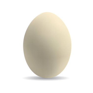 Beige egg - 3d picture. Vector illustration.