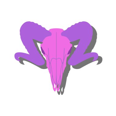 Sheep's skull. Bones of a ram. Vector illustration.