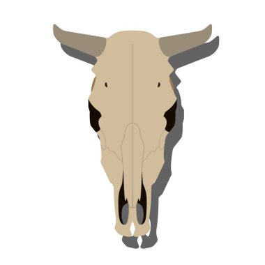 Cow skull with horns. Vector illustration.