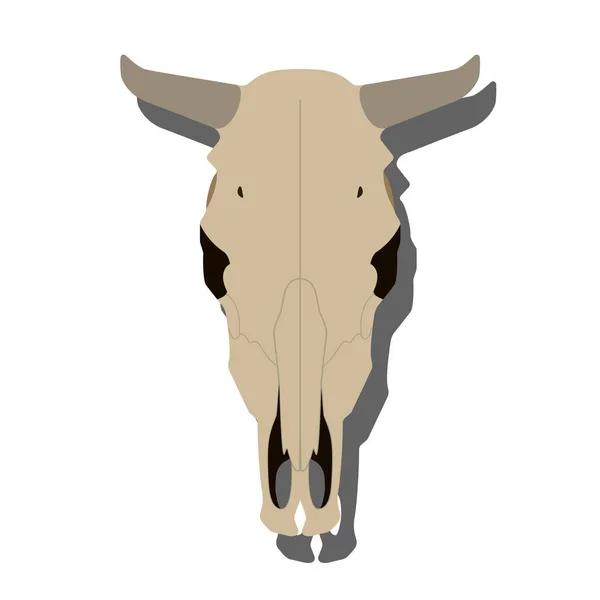 Crânio Vaca Com Chifres Ilustração Vetorial — Vetor de Stock