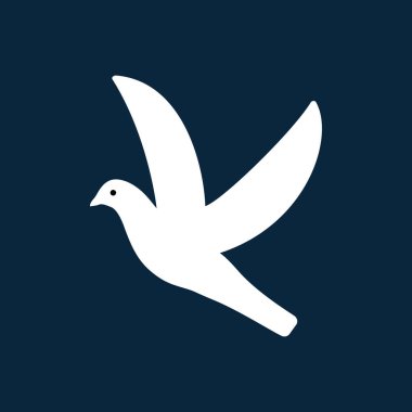 White dove in flight. Vector illustration