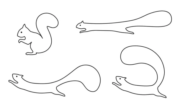 Ensemble Écureuils Dans Différentes Poses Assieds Toi Cours Saute Illustration — Image vectorielle