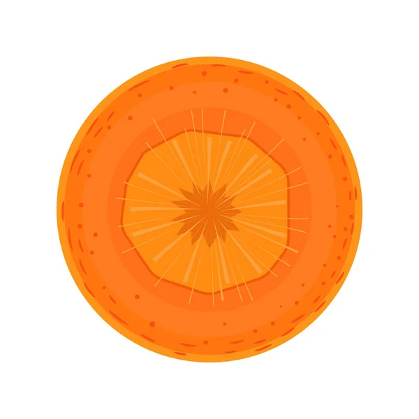 Pedazo Zanahoria Ilustración Vectorial — Vector de stock
