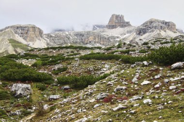 Sisli bir günde Rocky yamacı