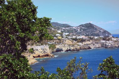 Deniz, dağlar ve zeytin ağaçları