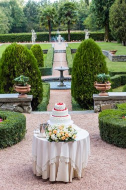 Parkta düğün pastası