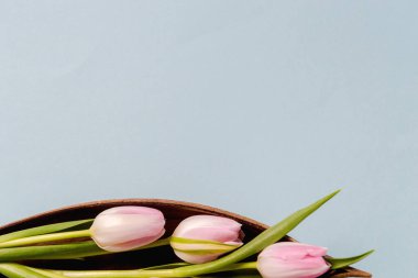 Pembe laleler gri-mavi arka planda, ahşap bir teknede yatıyor.