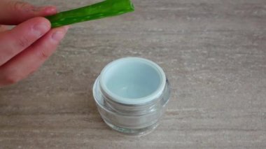 Yapraktan taze aloe vera jeli sıkmak için yakın plan.