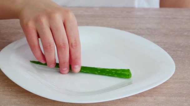 Hand legt zwei Aloe Vera Blätter — Stockvideo