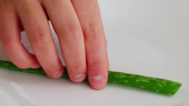 Close up of putting aloe vera leaves on plate — Stock Video