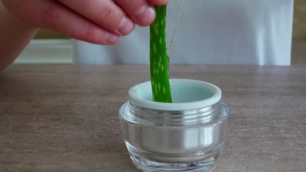 Close-up water or oils drop on aloe vera into bottle — Stock Video