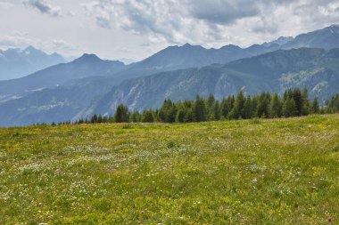 Yeşil yamacın ötesinde, yeşil ağaçların tepeleri görülebilir..