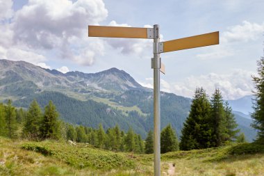 Doğanın, ormanın ve dağların arka planında yüksek yol işareti var. Güzel manzara.