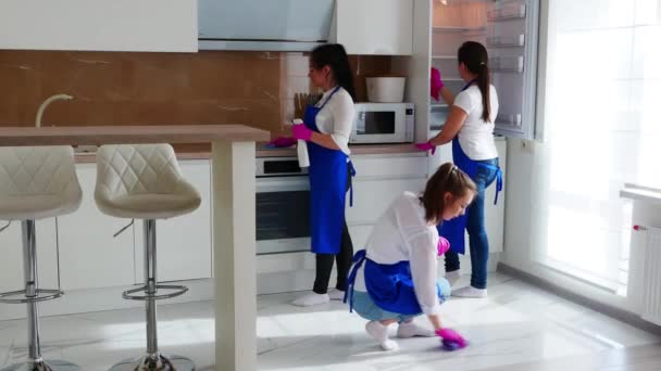 Τρία όμορφα νεαρά κορίτσια καθαρίζουν την κουζίνα. Μισθοφόροι. Πλύσου, ψυγείο, ντουλάπι. Επαγγελματικός καθαρισμός. — Αρχείο Βίντεο