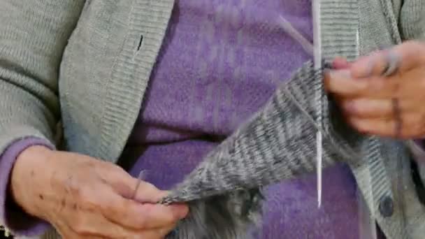 Woman Knitting Winter Socks Close Video Clip — Stock Video