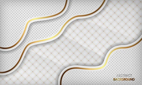 Luxe Fond Abstrait Blanc Avec Concept Coupe Papier Texture Avec — Image vectorielle