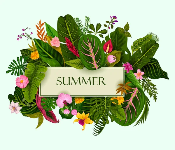 Egzotikus trópusi levél háttér vektor, pályázati üdvözlőlapot sablon nyár — Stock Vector