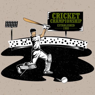 Topa vuran oyuncu oyuncu kriket oynamak oyun spor