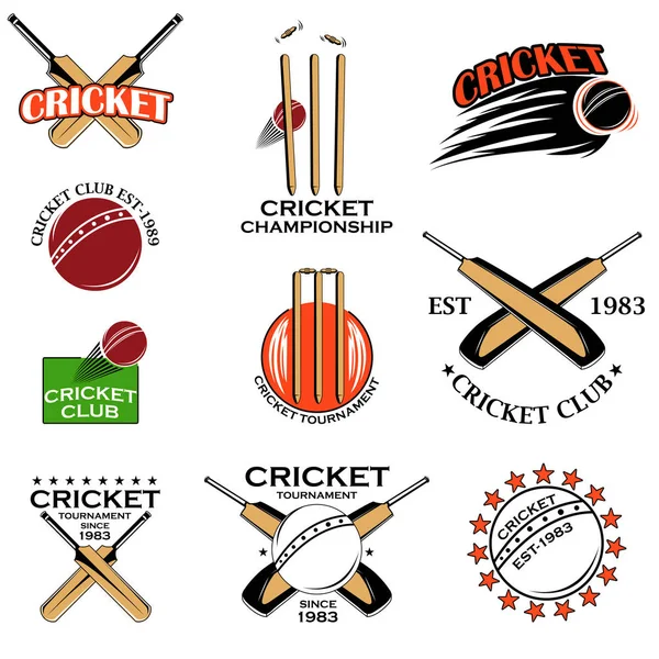 Cricket sport vleermuis, bal en wicket — Stockvector