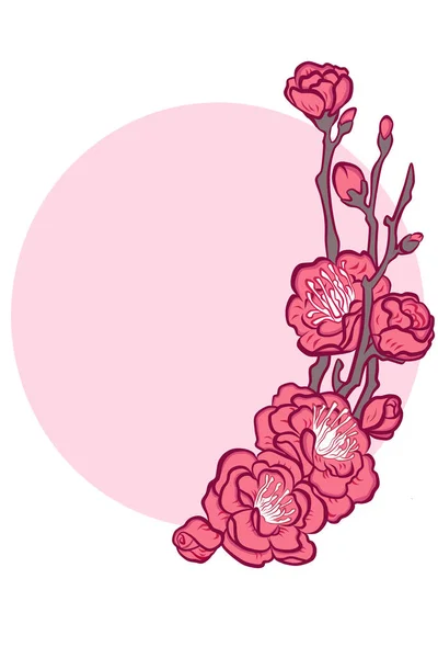 Japanische Sakura Blüte Vor Dem Hintergrund Eines Rosafarbenen Sonnenkreises — Stockfoto