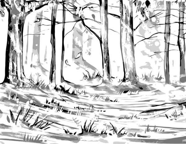 Ασπρόμαυρο Σκίτσο Δάσους Πάρκου — Φωτογραφία Αρχείου