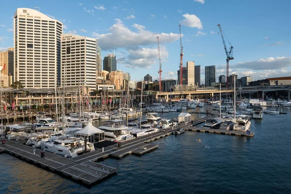 29 Temmuz: Sydney Merkez Ticaret Bölgesi Darling Harbour Avustralya 'dan Skyline — Stok fotoğraf