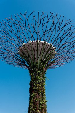 02 Ekim 2018: Singapur Körfezi yakınlarındaki Gardens 'ta süperağaçlar. Singapur