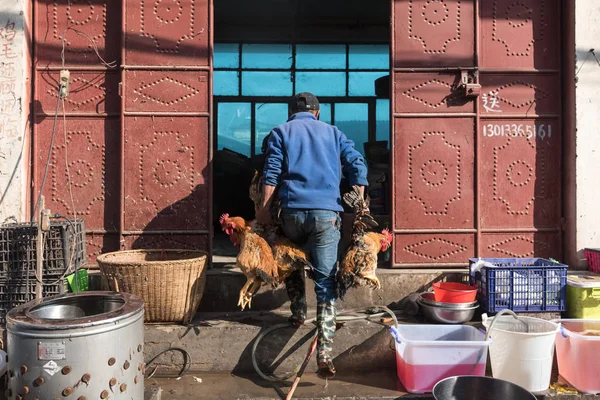 14 Mart 2019: Poulterer markette tavuk taşıyor, Xizhou, Yunnan, Çin — Stok fotoğraf