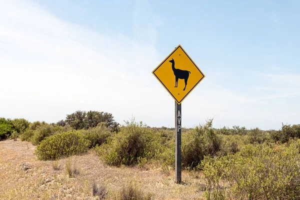 November 11, 2019: A lama traffic sign seen in Patagonia, Argentina — Stock Photo, Image