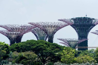 02 Ekim 2018: Singapur Körfezi yakınlarındaki Gardens 'ta süperağaçlar. Singapur