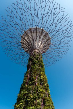 02 Ekim 2018: Singapur Körfezi yakınlarındaki Gardens 'ta süperağaçlar. Singapur