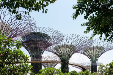 02 Ekim 2018: Singapur Körfezi yakınlarındaki Gardens 'ta süperağaçlar. Singapur