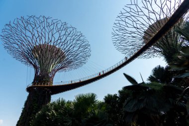 02 Ekim 2018: Singapur Körfezi yakınlarındaki Gardens 'ta süperağaçlar. Singapur