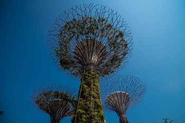 02 Ekim 2018: Singapur Körfezi yakınlarındaki Gardens 'ta süperağaçlar. Singapur