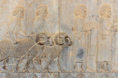 Persepolis, İran 'da Bas yardım derneği