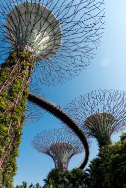 02 Ekim 2018: Singapur Körfezi yakınlarındaki Gardens 'ta süperağaçlar. Singapur