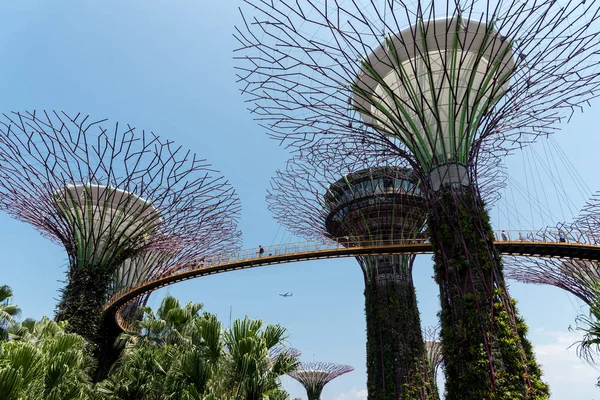 Octubre 2018 Superárboles Los Jardines Bahía Singapur Singapur — Foto de Stock