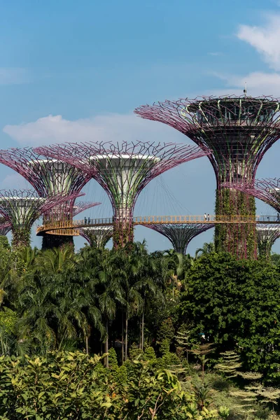 Ottobre 2018 Supertree Giardini Presso Baia Singapore Singapore — Foto Stock