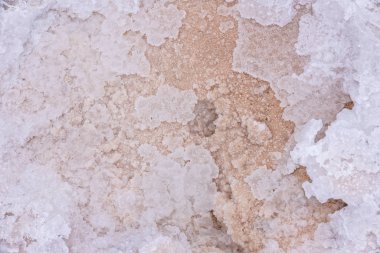 Salta, Arjantin 'deki tuzsuz toprağın detayları
