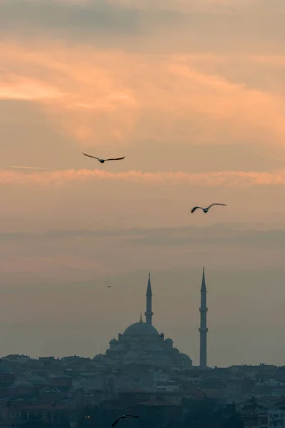 Φεβρουαρίου 2018 Άποψη Του Ορίζοντα Της Κωνσταντινούπολης Κωνσταντινούπολη Τουρκία — Φωτογραφία Αρχείου