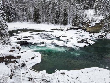 Reguard kışın düşer, Britanya Kolumbiyası, Kanada.