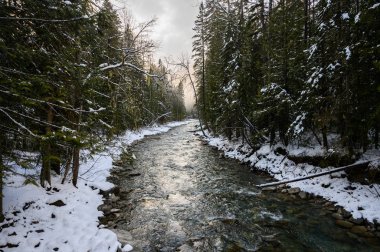Robson Dağı 'nın kış manzarası, Britanya Kolombiyası, Kanada.