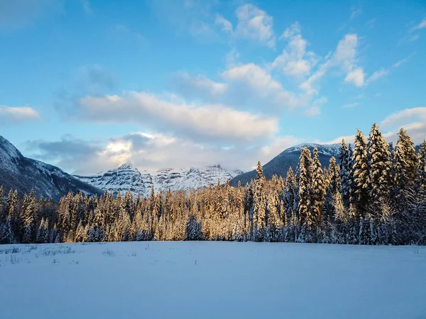 Mount Robson Winter British Columbia Canada — Stock Photo, Image